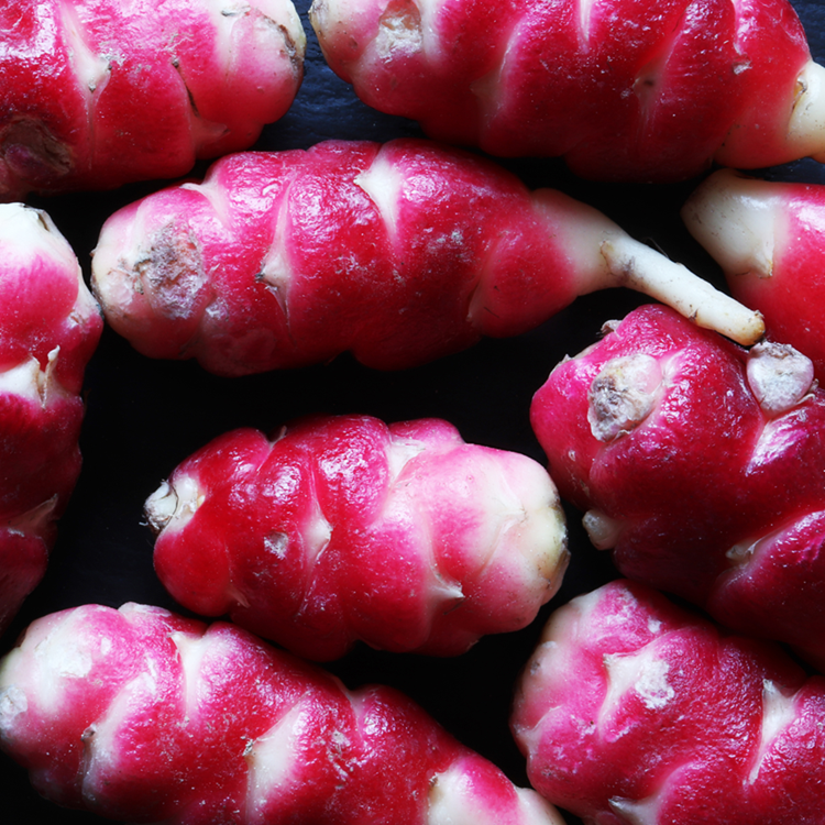 oca du pérou