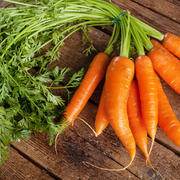 carottes